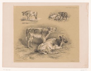 Three Studies of Cattle by Pierre Frédéric Lehnert