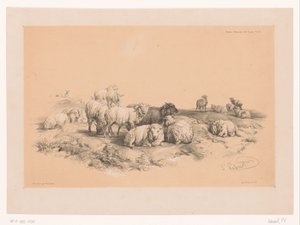 Study of a Flock of Sheep (series title: Animal Studies by Cooper) by Pierre Frédéric Lehnert