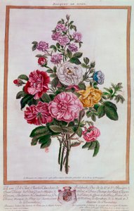 Bouquet of Roses, Lithography by Pierre Joseph Buchoz, 18th Century, Paris, B.N. by Pierre Joseph Buchoz