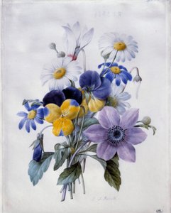 A Bouquet of Flowers: Clematis, Pansy, Daisy and Cyclamen. 19th Century. Paris, Louvre Museum