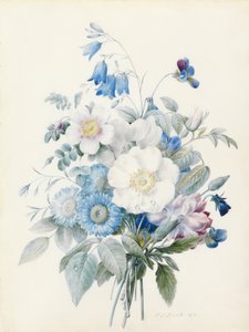 Blue Asters, Rosa Spinosissima (Hybrid), Harebell, Violas, Carnation and a Wild Rose by Pierre Joseph Redouté