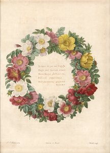 Crown of Roses with a Greek Motto - Engraving by Charlin, After an Illustration by Pierre Joseph Redoute, from Les Roses
