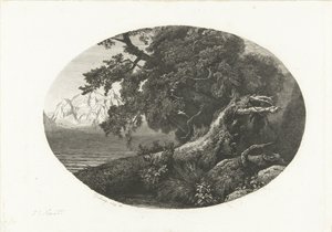 Uprooted Tree Trunk on the Coast