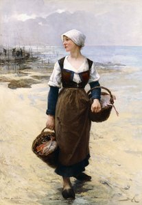 Flower of the Shores