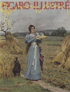 In the Cornfields