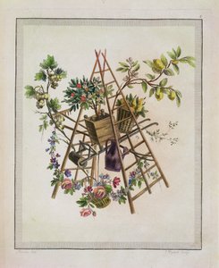 A garden textile design, from Oeuvre contenant un Receuil de Trophees, Attributs, Cartouches, Vases, Fleurs, Ornemens, et Plusieurs Dessins agreeables pour broder des Fauteuils, engraved by Etienne C
