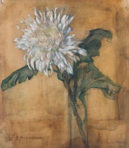 Chrysanthemum by Piet Mondrian