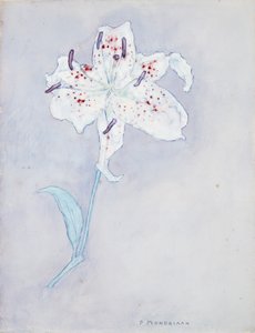 Lily, c.1920-25 by Piet Mondrian