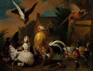 A Hawk Attacking Poultry in a Farmyard