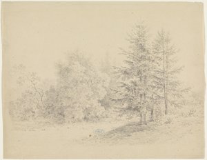 Forest View with Pine Trees by Pieter Bartholomeusz. Barbiers