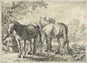 Three Horses and a Farmer (Various Animals series) by Pieter Bodding van Laer