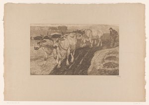 Oxen Plowing by Pieter Dupont (signed by artist)