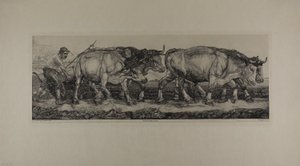 Plowing Oxen by Pieter Dupont
