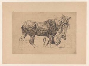 Study Sheet with Two Horses