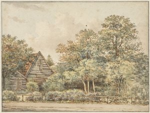 House in a Wooded Area