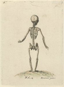 Skeleton, seen from behind by Pieter Feddes van Harlingen