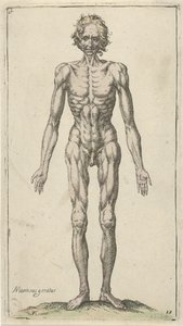 Study of a Naked Man (Anatomical Studies) by Pieter Feddes van Harlingen