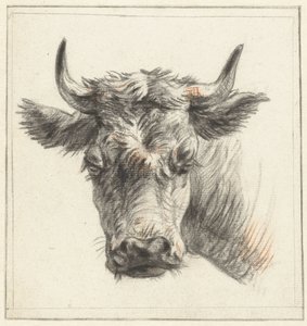 Head of a Bull