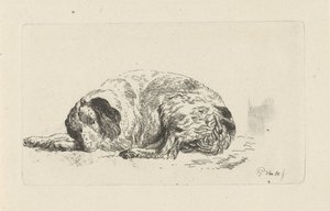 Lying Dog