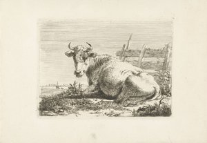 Lying Cow by a Fence (Cows series)