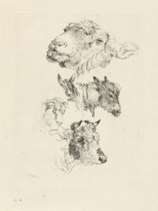 Study Sheet with Sheep, Horse, Donkey, Ram, and Bull Heads by Pieter Gerardus van Os