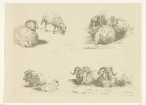 Four Scenes with Sheep and Goats by Pieter Gerardus van Os