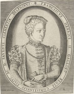 Portrait of Francis II of France, 1544-1560 by Pieter Heyden van der