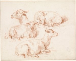 Study Sheet with Sheep by Pieter Jan Guise
