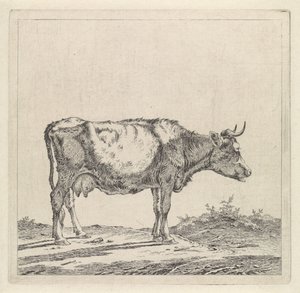 Landscape with Cow by the Waterside