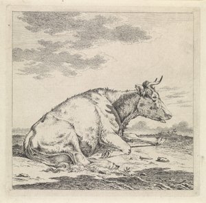 Lying Cow, Facing Right by Pieter Janson