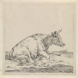 Lying Cow, Facing Right by Pieter Janson