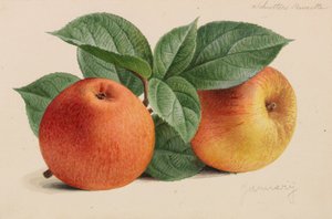 Originals of Publications on Horticulture and Arboriculture