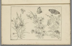 Three Flower Branches and Three Butterflies