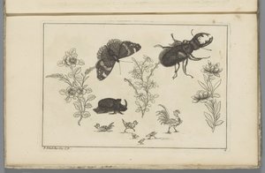 Three Flower Branches with Rhinoceros Beetle, Butterfly, and Beetle