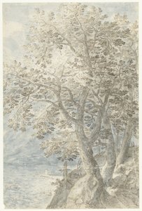 Trees by a Steep Cliff by Pieter Stevens (I)