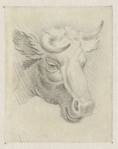 Head of a Cow