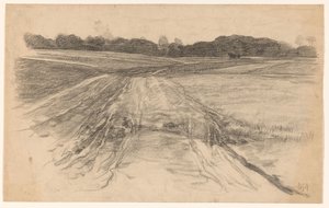 Country Road through the Open Field