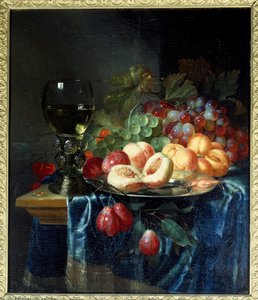 Fruits and Wine
