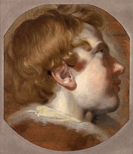 Head of a Young Boy, c.1620