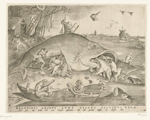 Big Fish Swallow Small Fish