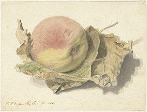 Peach on Two Leaves