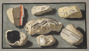 Specimens of Tufa found in and around Herculaneum, Plate XXXXV, from 