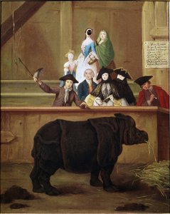 Rhinoceros: exhibition of Clara, Indian rhinoceros