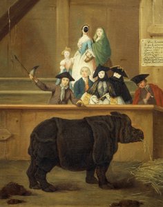 The Exhibition of the Rhino