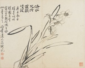 Landscapes, Flowers and Birds: Narcissus by Luo Ping