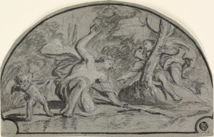 Narcissus by Polidoro da Caravaggio