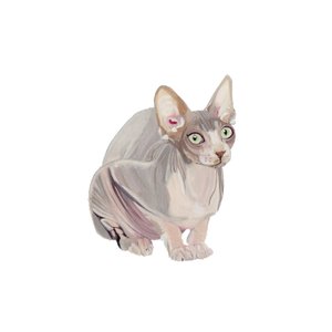 Sphynx, 2014