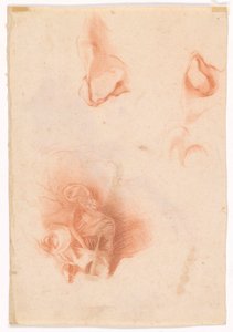 Head of a Man, Face in Profile (recto); Anatomical Study, Face in Profile (verso)