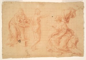 Studies for