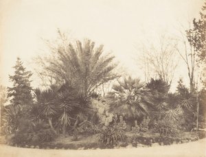 Pincian Garden, Rome, 1853-56